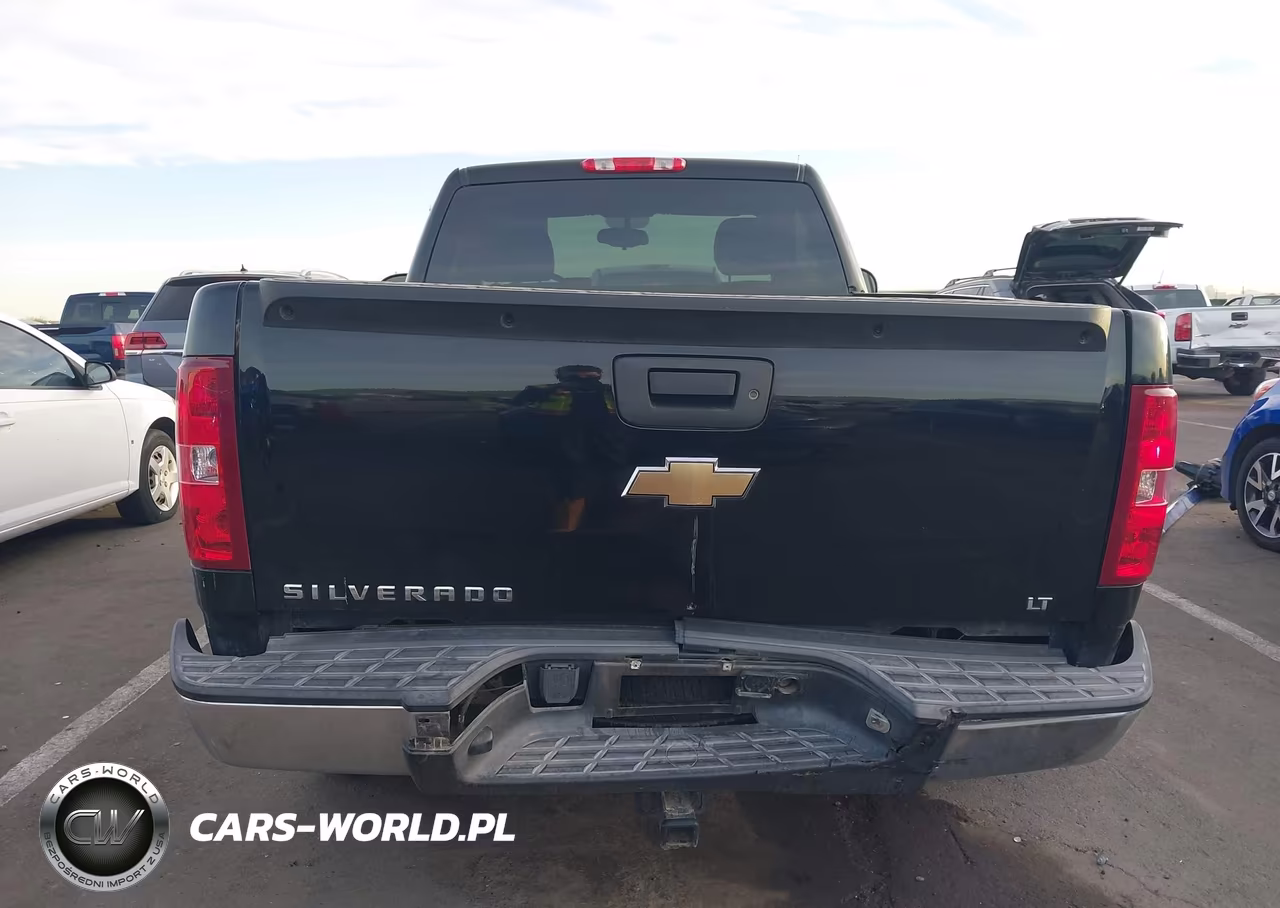 2010 Chevrolet Silverado 1500 Lt VIN:1GCPCSE08AZ223278 - 16
