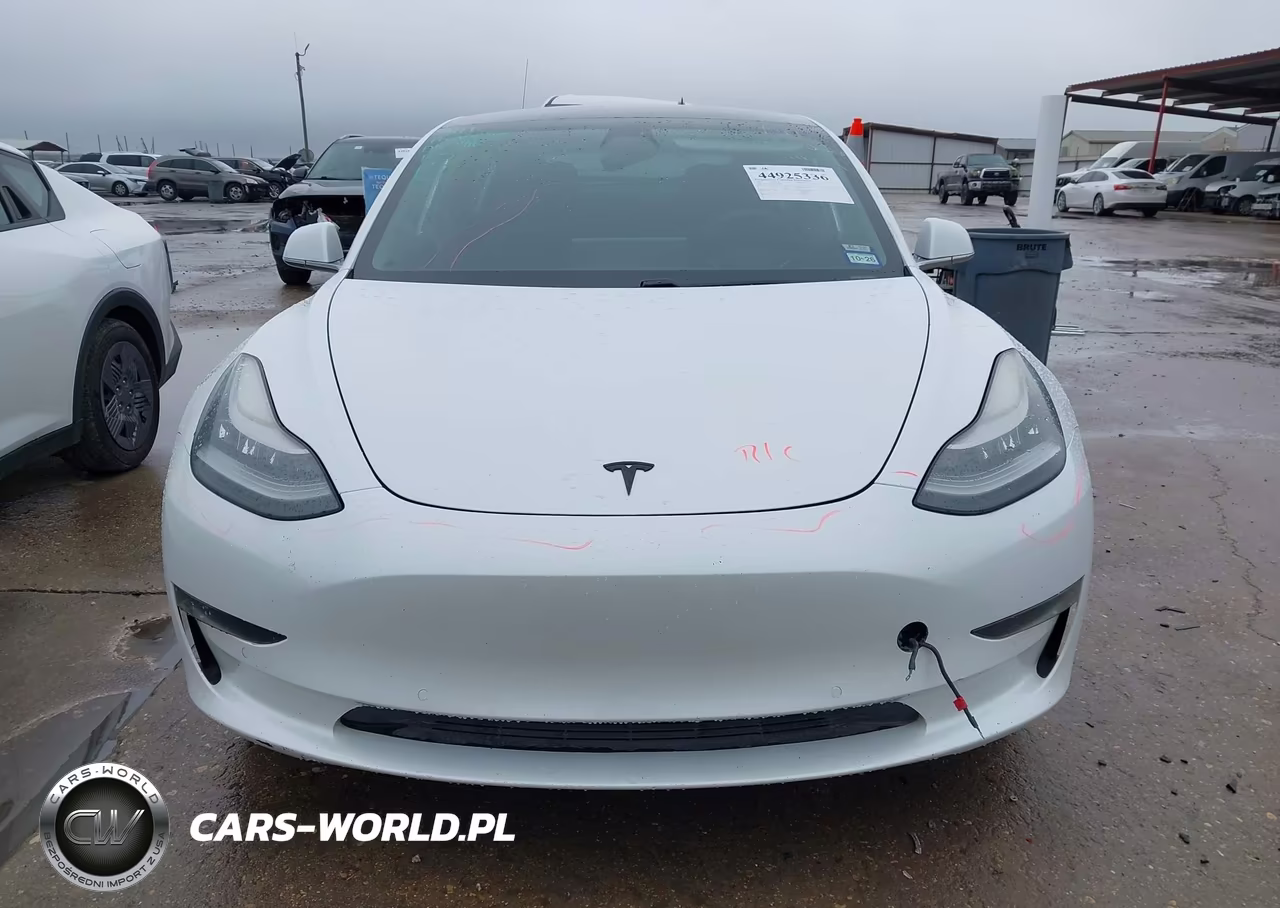 2019 Tesla Model 3 Long Range-Mid Range-Standard Range-Standard Range Plus VIN:5YJ3E1EA3KF311898 - 13