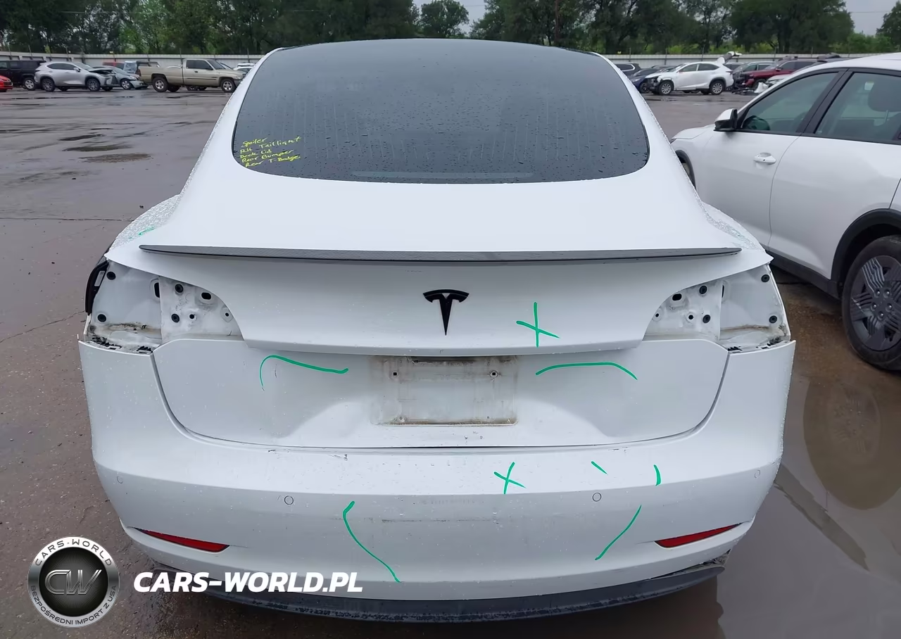 2019 Tesla Model 3 Long Range-Mid Range-Standard Range-Standard Range Plus VIN:5YJ3E1EA3KF311898 - 17