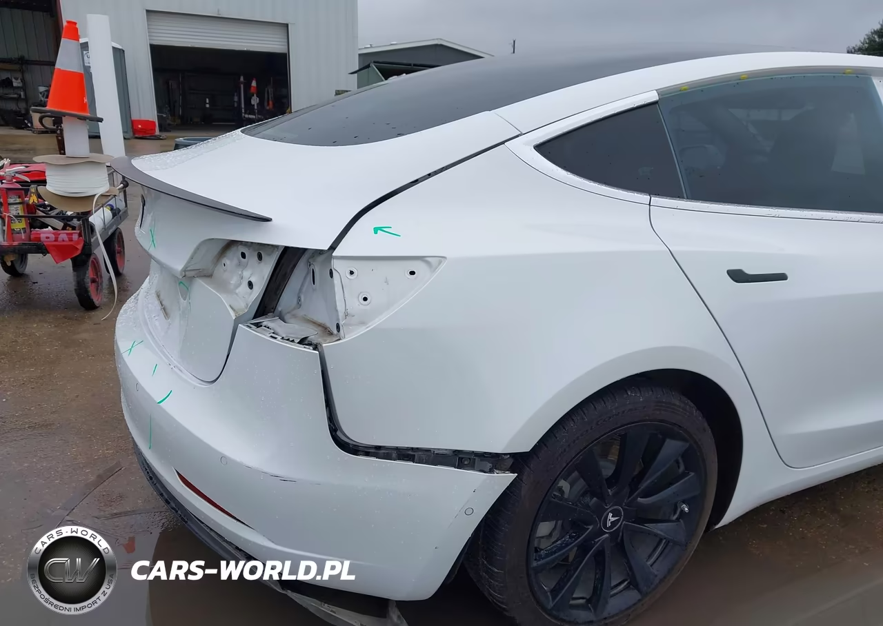 2019 Tesla Model 3 Long Range-Mid Range-Standard Range-Standard Range Plus VIN:5YJ3E1EA3KF311898 - 20