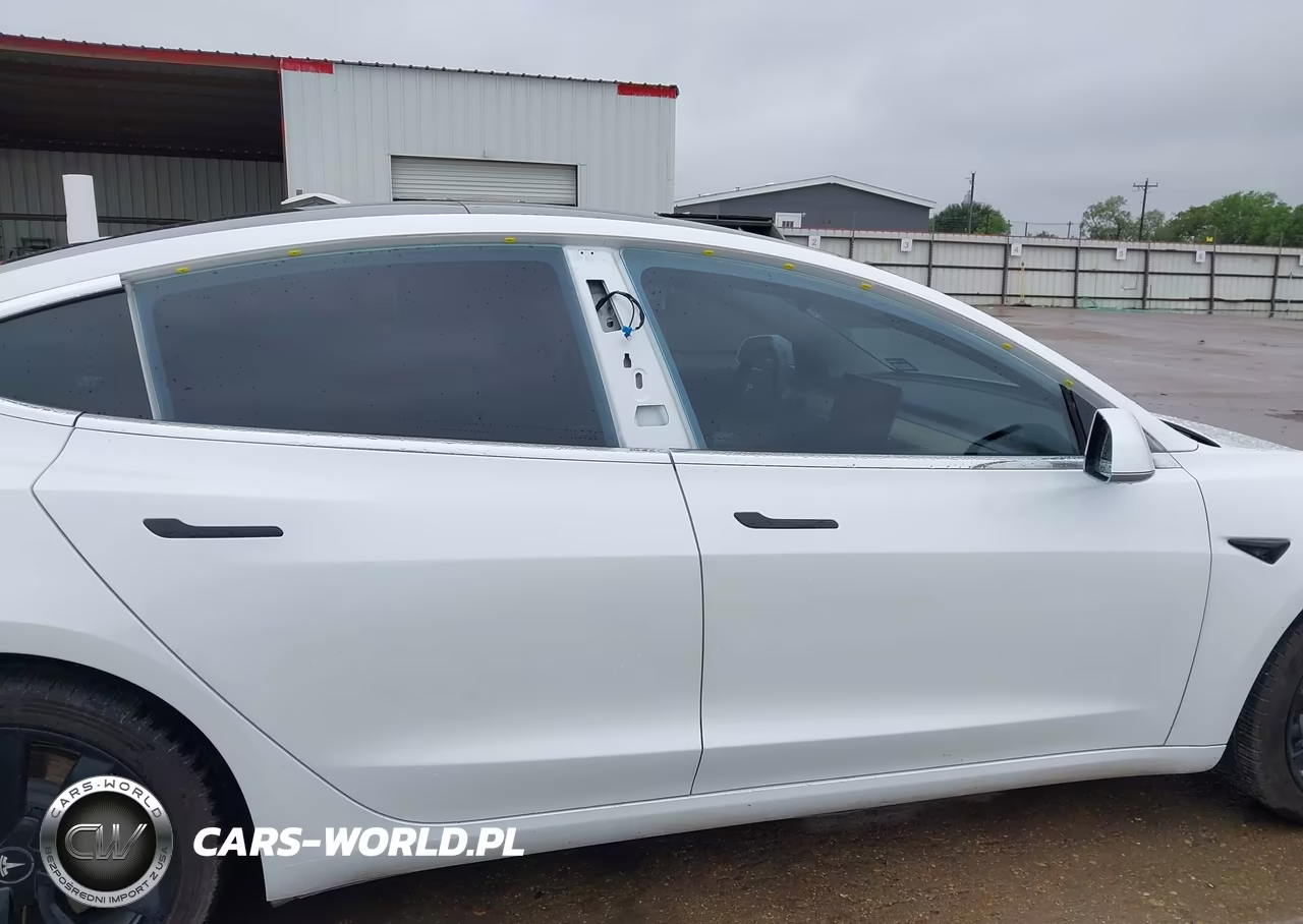 2019 Tesla Model 3 Long Range-Mid Range-Standard Range-Standard Range Plus VIN:5YJ3E1EA3KF311898 - 21