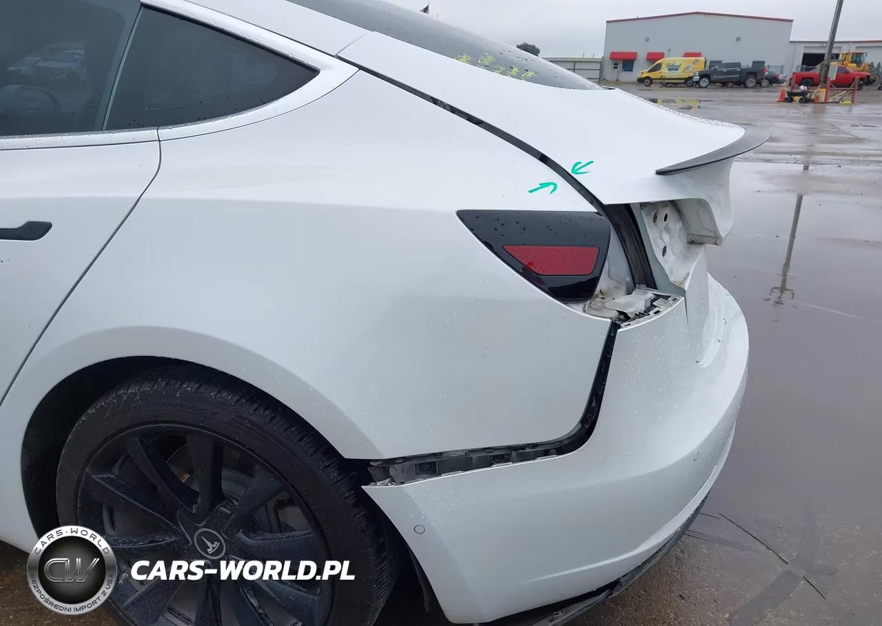 2019 Tesla Model 3 Long Range-Mid Range-Standard Range-Standard Range Plus VIN:5YJ3E1EA3KF311898 - 22