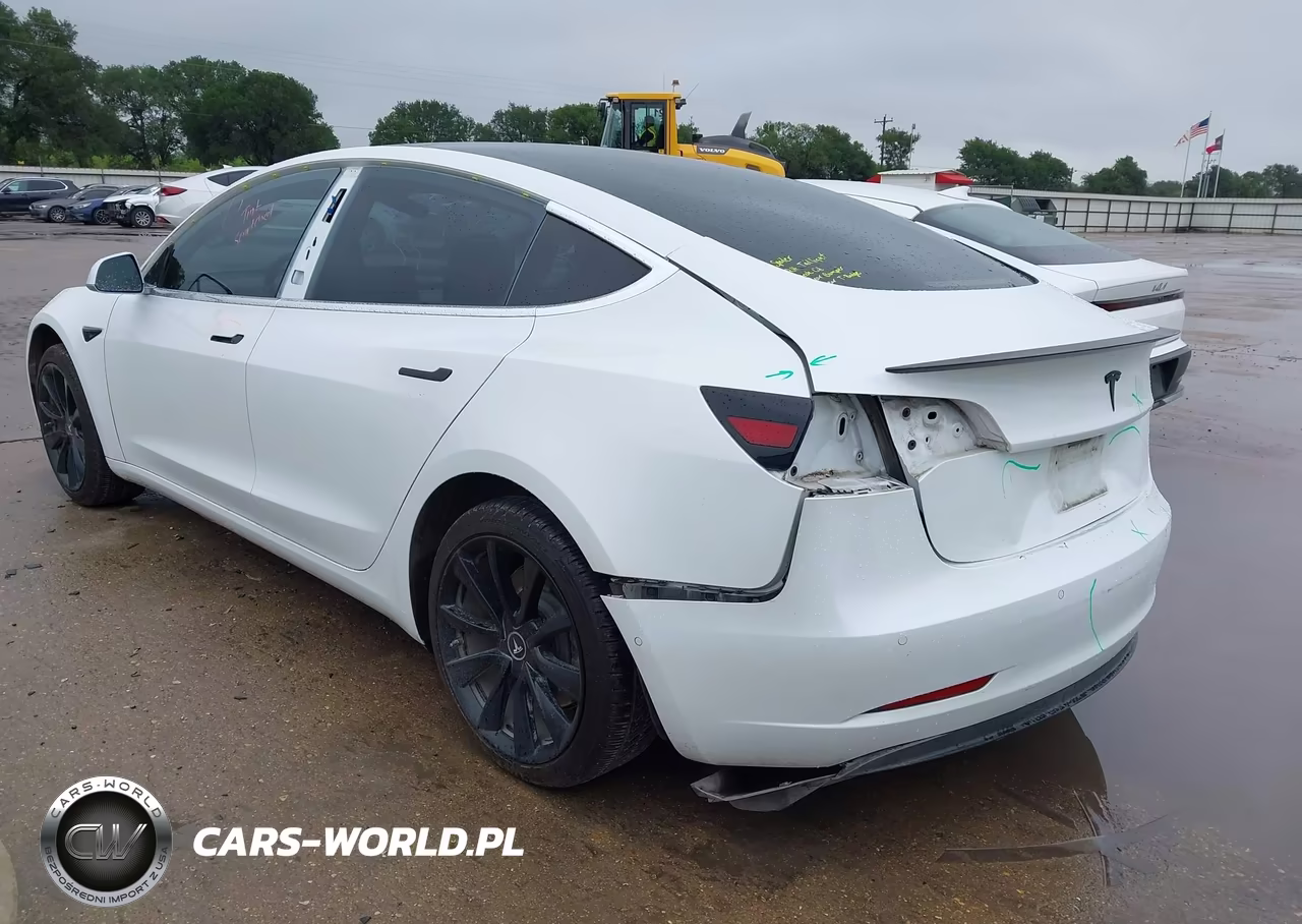 2019 Tesla Model 3 Long Range-Mid Range-Standard Range-Standard Range Plus VIN:5YJ3E1EA3KF311898 - 3