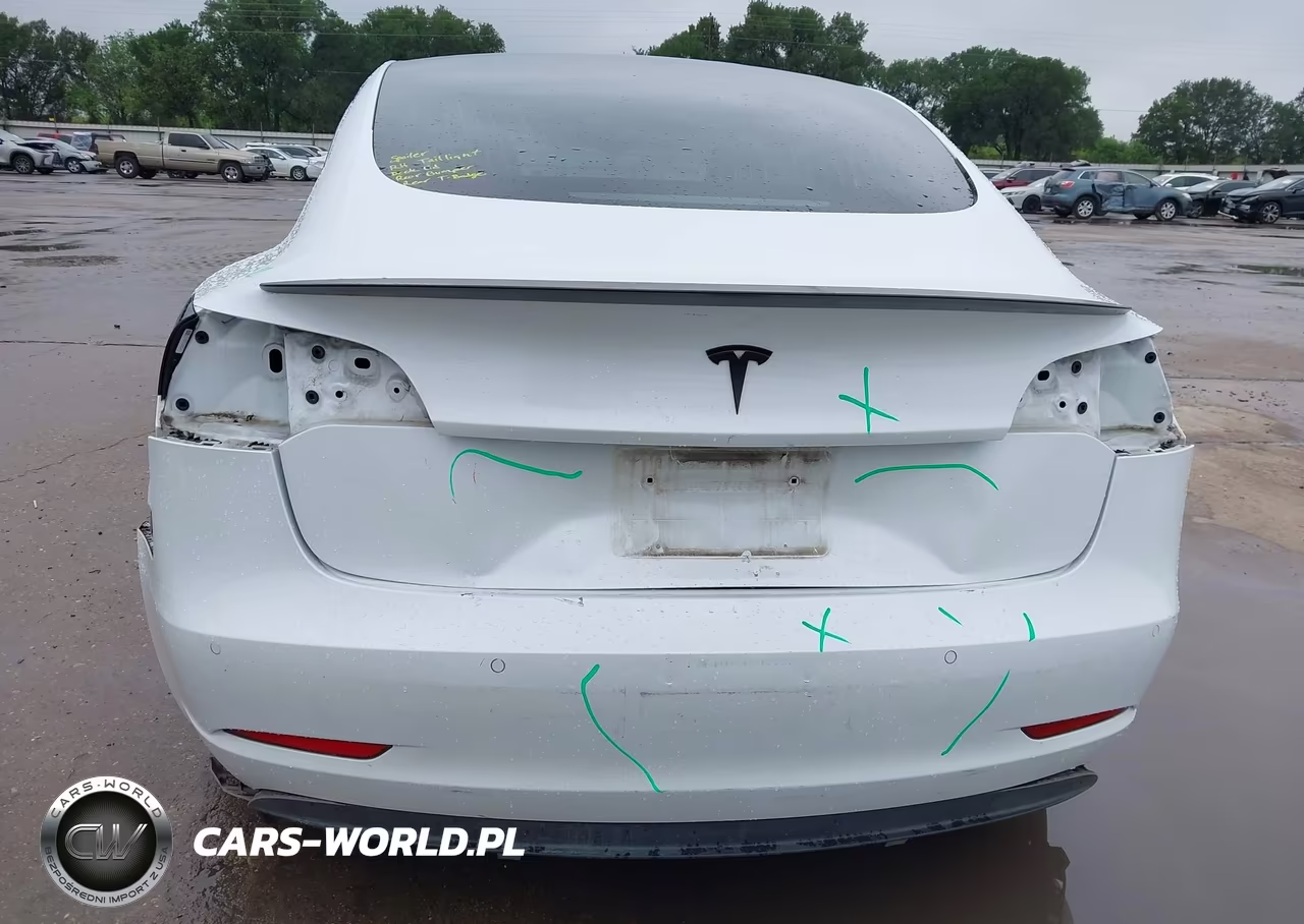 2019 Tesla Model 3 Long Range-Mid Range-Standard Range-Standard Range Plus VIN:5YJ3E1EA3KF311898 - 6