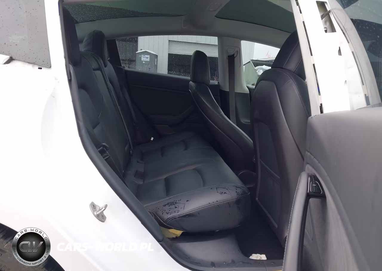 2019 Tesla Model 3 Long Range-Mid Range-Standard Range-Standard Range Plus VIN:5YJ3E1EA3KF311898 - 8