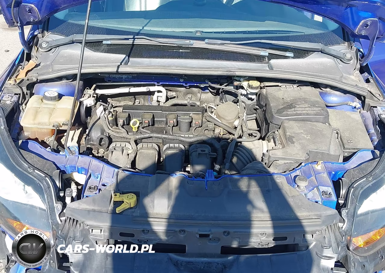 2013 Ford Focus Se VIN:1FADP3K24DL217414 - 10