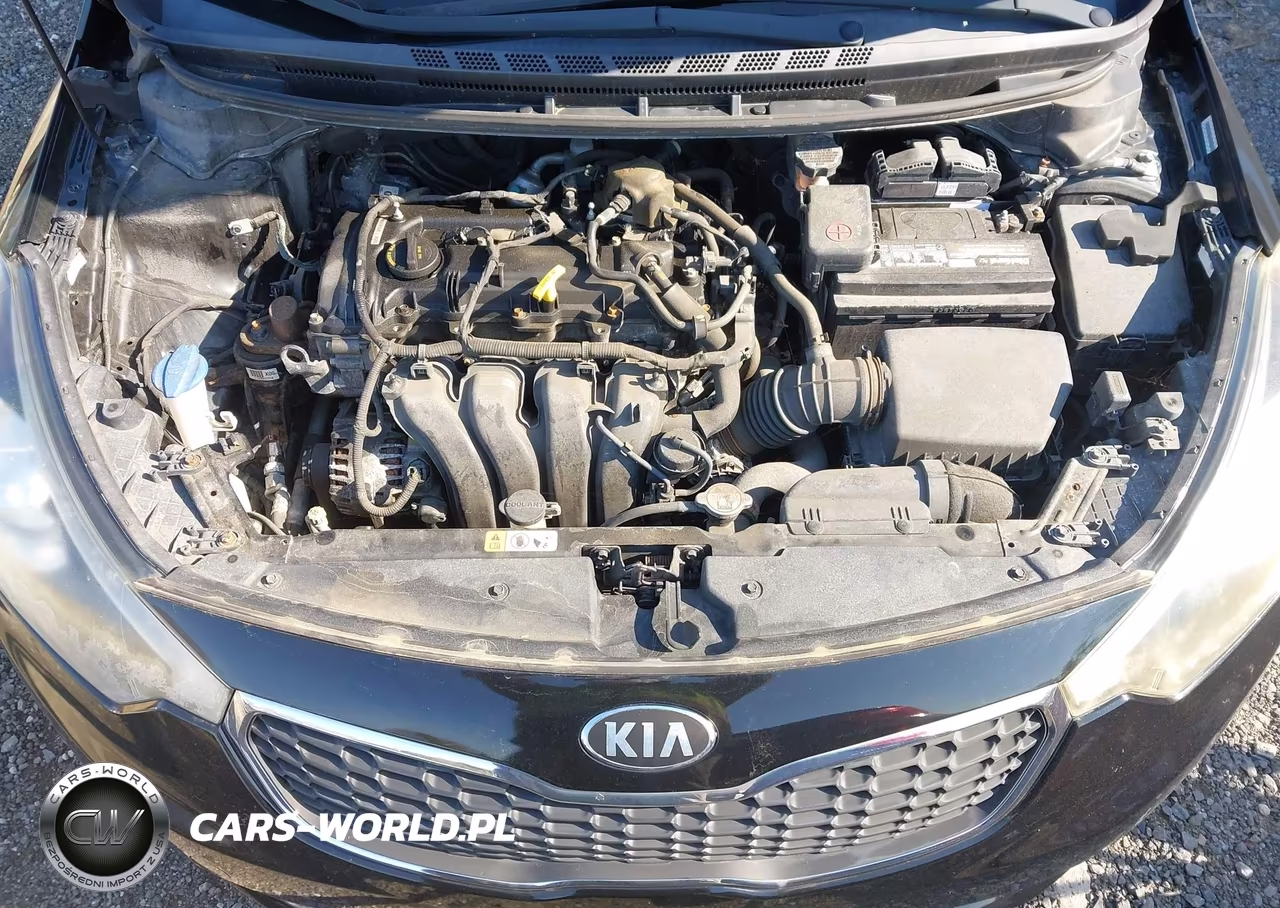 2015 Kia Forte Ex VIN:KNAFX5A86F5321038 - 10