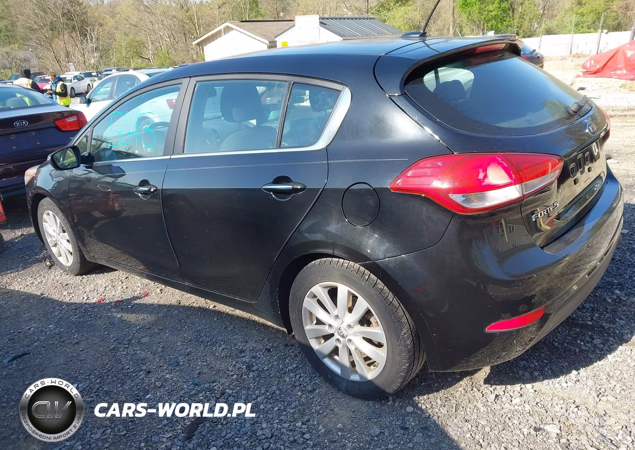 2015 Kia Forte Ex VIN:KNAFX5A86F5321038 - 3
