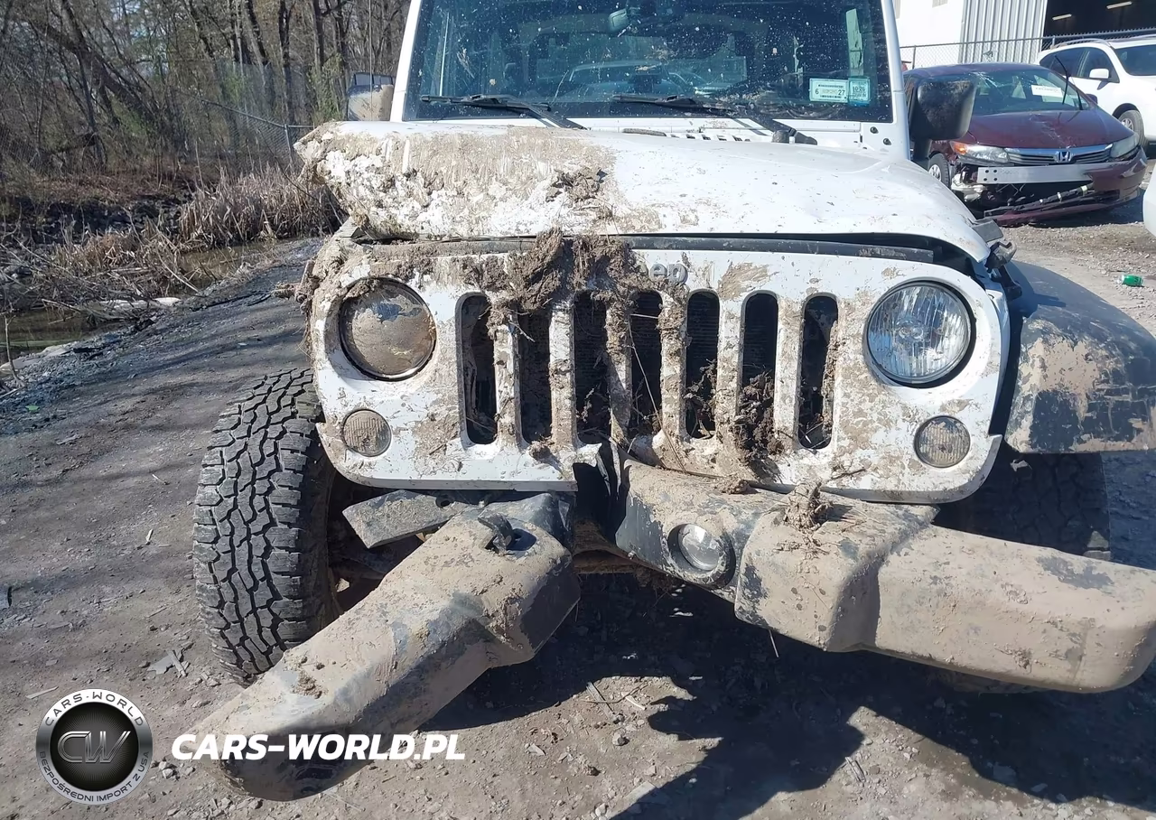 2018 Jeep Wrangler Jk Sport S 4X4 VIN:1C4AJWAGXJL851156 - 12