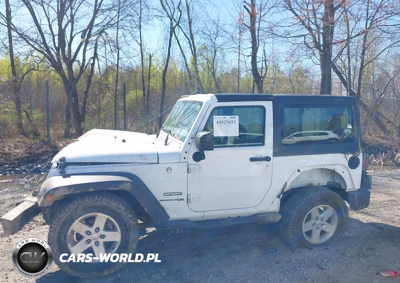 2018 Jeep Wrangler Jk Sport S 4X4 VIN:1C4AJWAGXJL851156 - 14