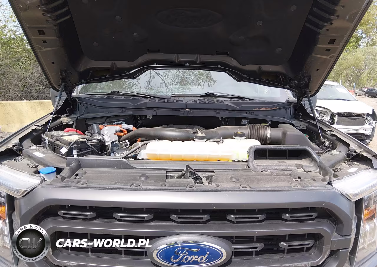 2023 Ford F-150 Xlt VIN:1FTFW1ED3PFD08507 - 10