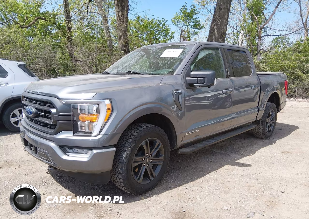 2023 Ford F-150 Xlt VIN:1FTFW1ED3PFD08507 - 2