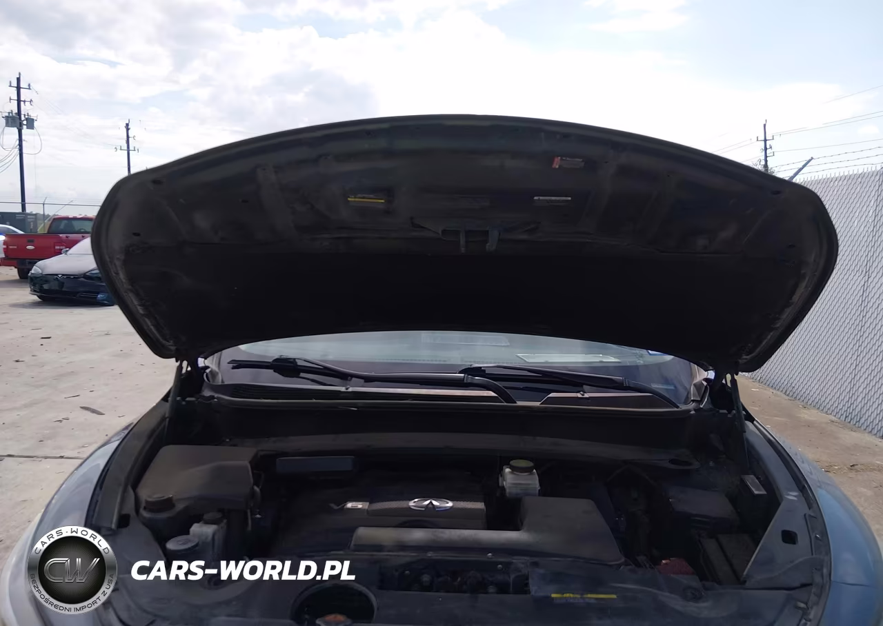 2019 Infiniti Qx60 Pure VIN:5N1DL0MNXKC567506 - 10