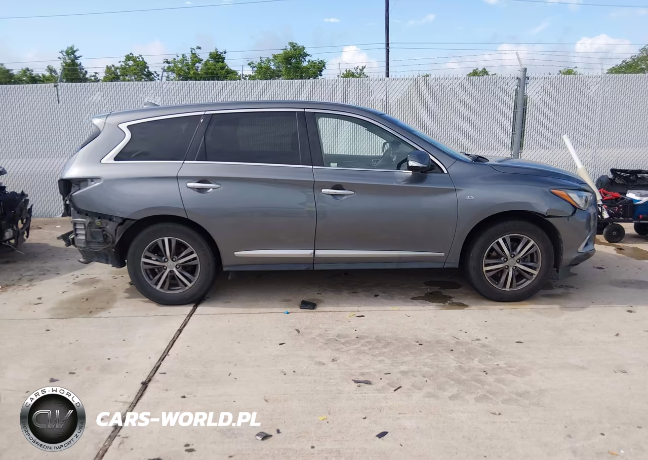 2019 Infiniti Qx60 Pure VIN:5N1DL0MNXKC567506 - 13
