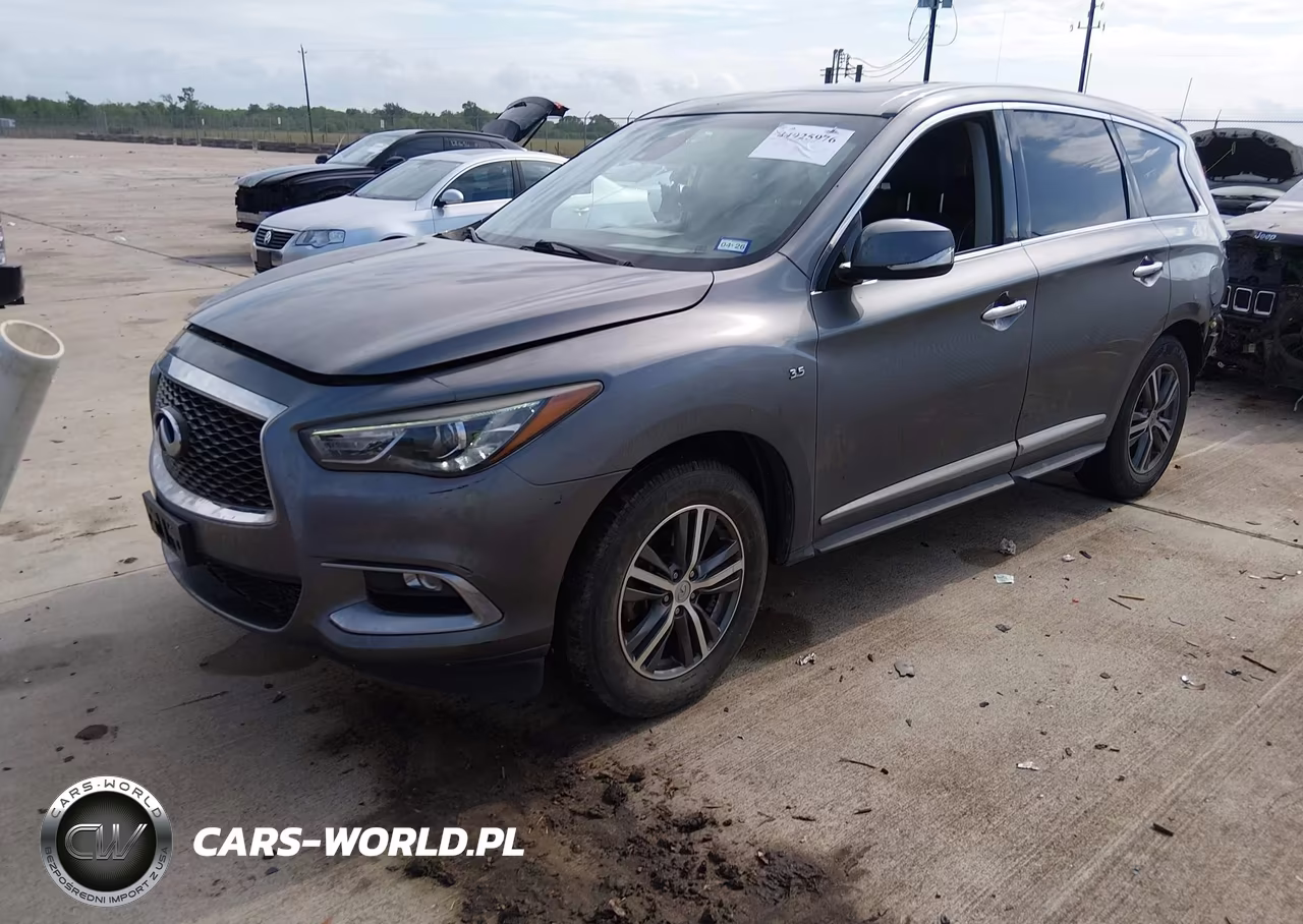 2019 Infiniti Qx60 Pure VIN:5N1DL0MNXKC567506 - 2