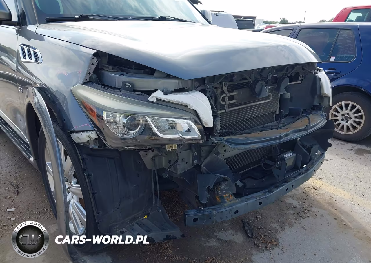 2015 Infiniti Qx80 VIN:JN8AZ2ND3F9770381 - 18
