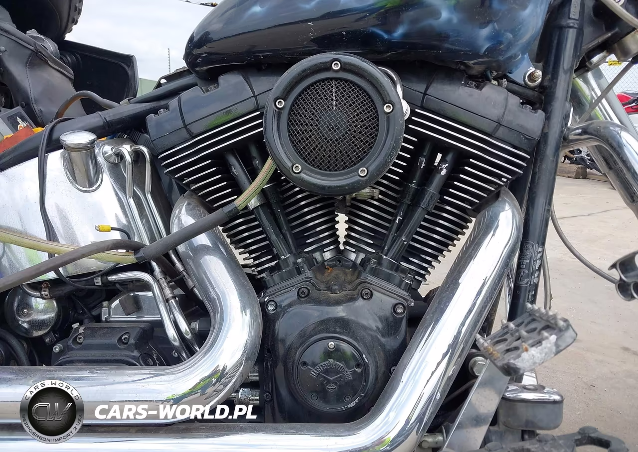 2001 Harley-Davidson Flstf VIN:1HD1BMY161Y061597 - 8