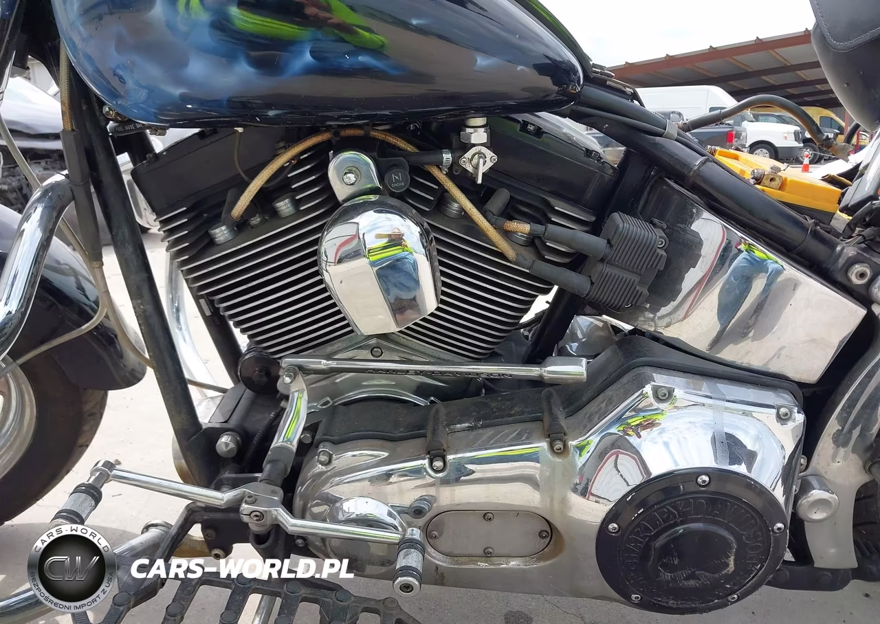 2001 Harley-Davidson Flstf VIN:1HD1BMY161Y061597 - 9