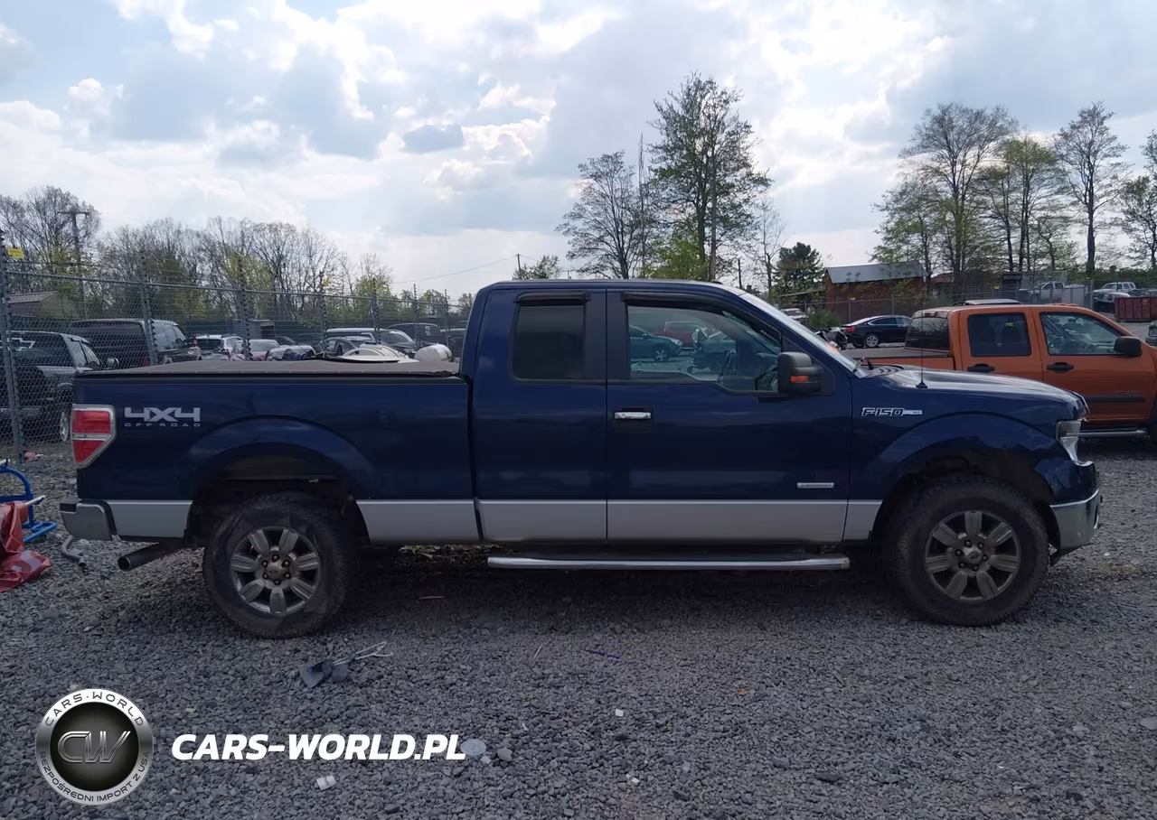 2012 Ford F-150 Xlt VIN:1FTFX1ET7CFC73159 - 13