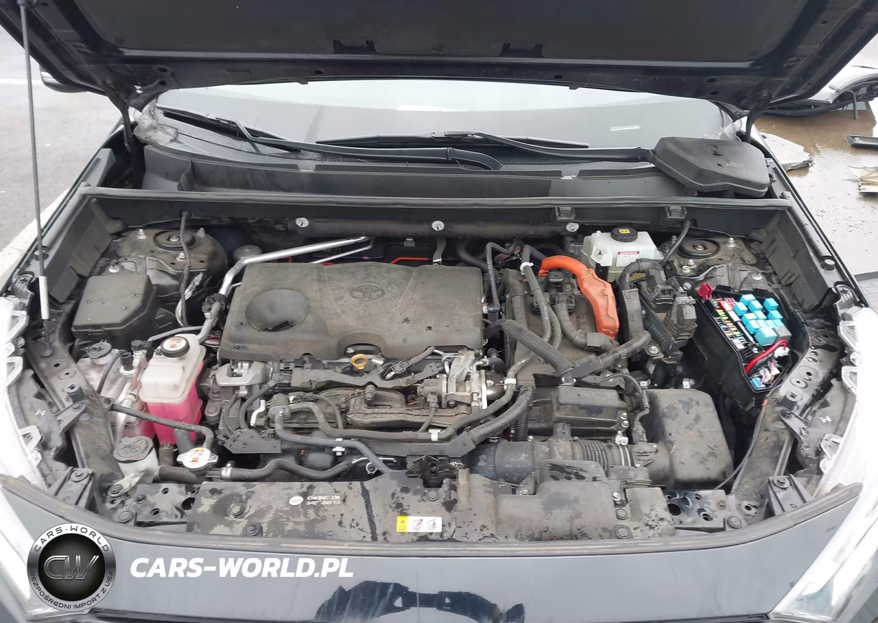 2019 Toyota Rav4 Hybrid Limited VIN:2T3DWRFVXKW010167 - 10