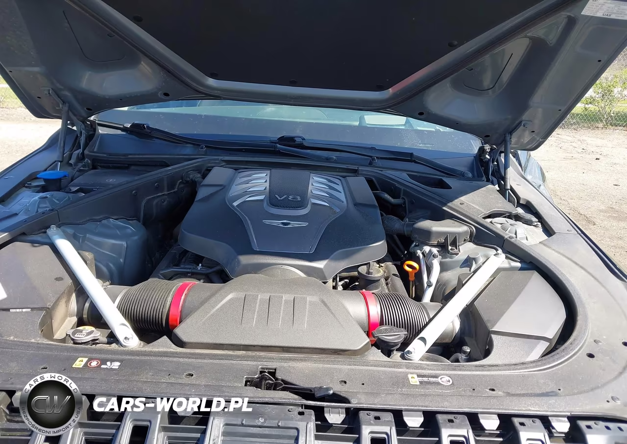 2018 Genesis G90 VIN:KMHG54JH4JU043841 - 10