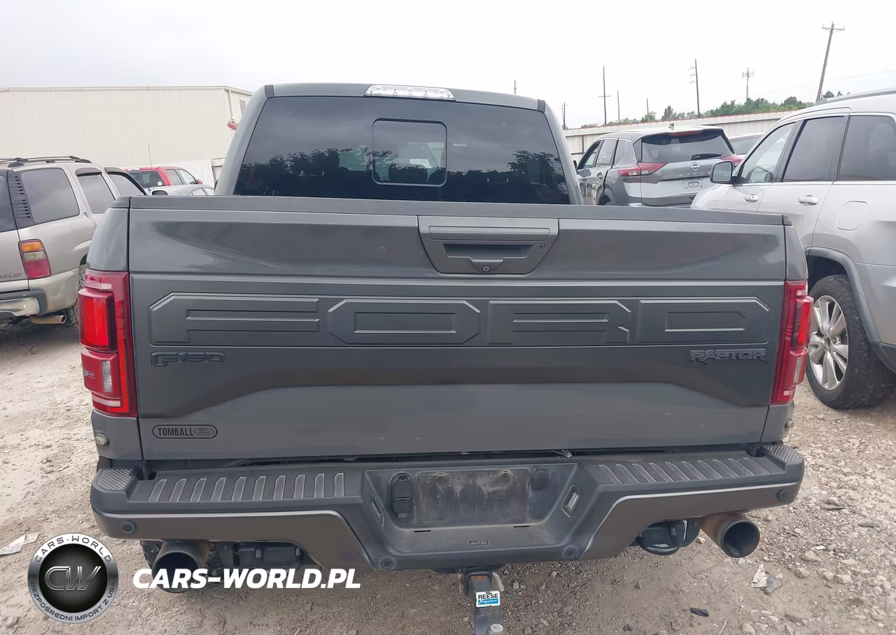 2018 Ford F-150 Raptor VIN:1FTFW1RG6JFE50426 - 17