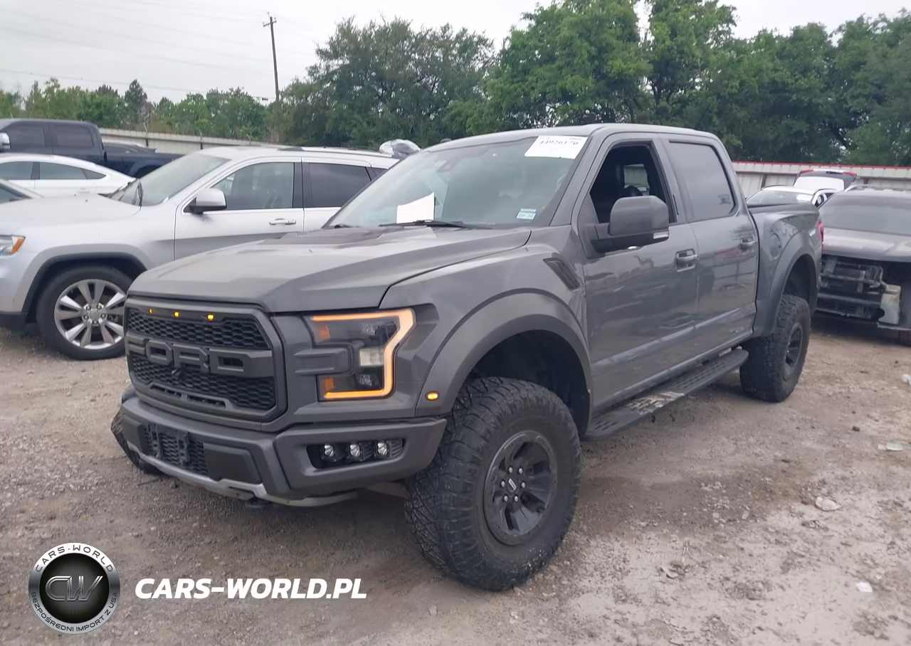 2018 Ford F-150 Raptor VIN:1FTFW1RG6JFE50426 - 2