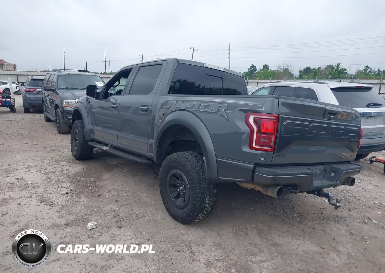 2018 Ford F-150 Raptor VIN:1FTFW1RG6JFE50426 - 3