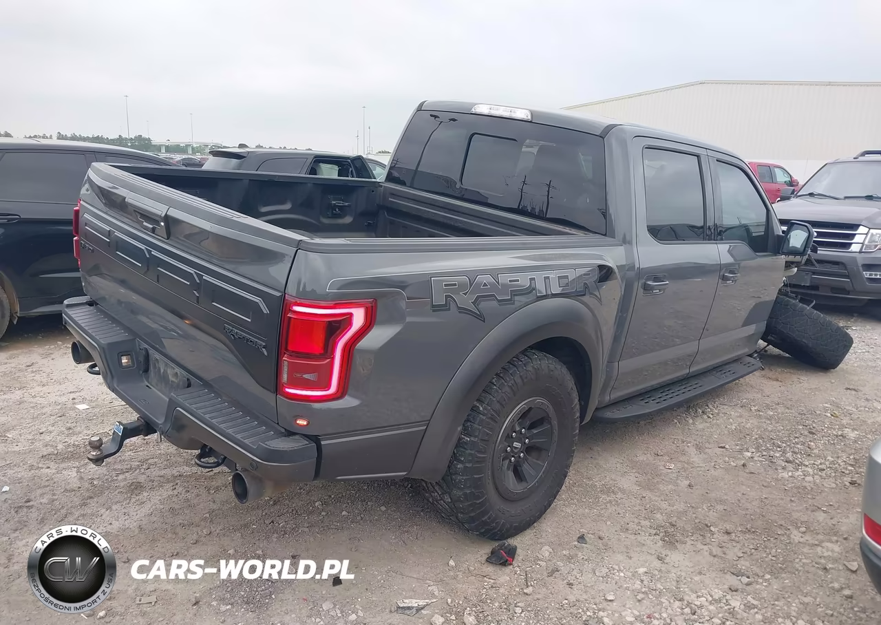 2018 Ford F-150 Raptor VIN:1FTFW1RG6JFE50426 - 4