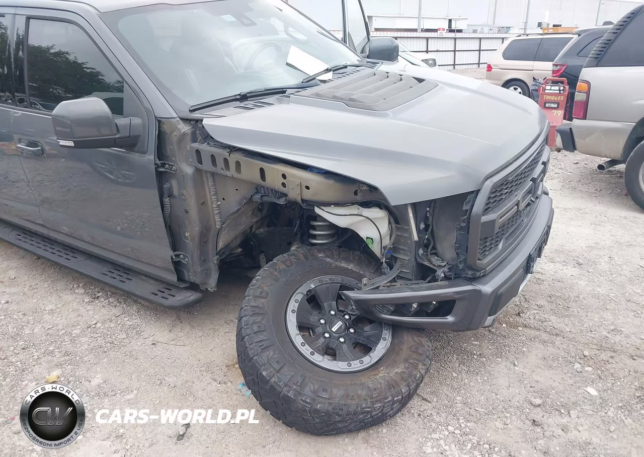 2018 Ford F-150 Raptor VIN:1FTFW1RG6JFE50426 - 6