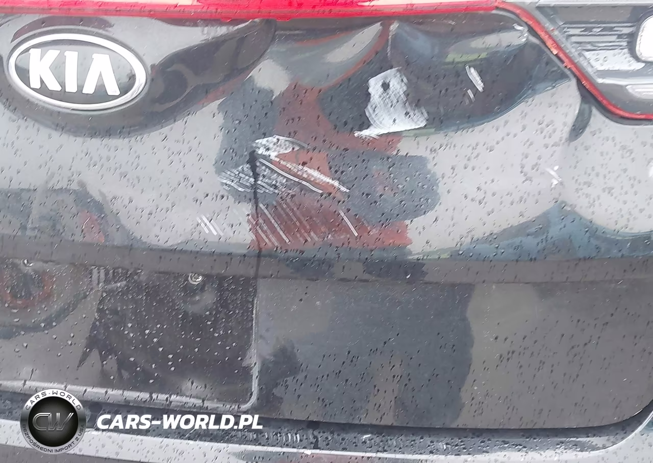 2020 Kia Sportage Lx VIN:KNDPM3AC8L7738511 - 19