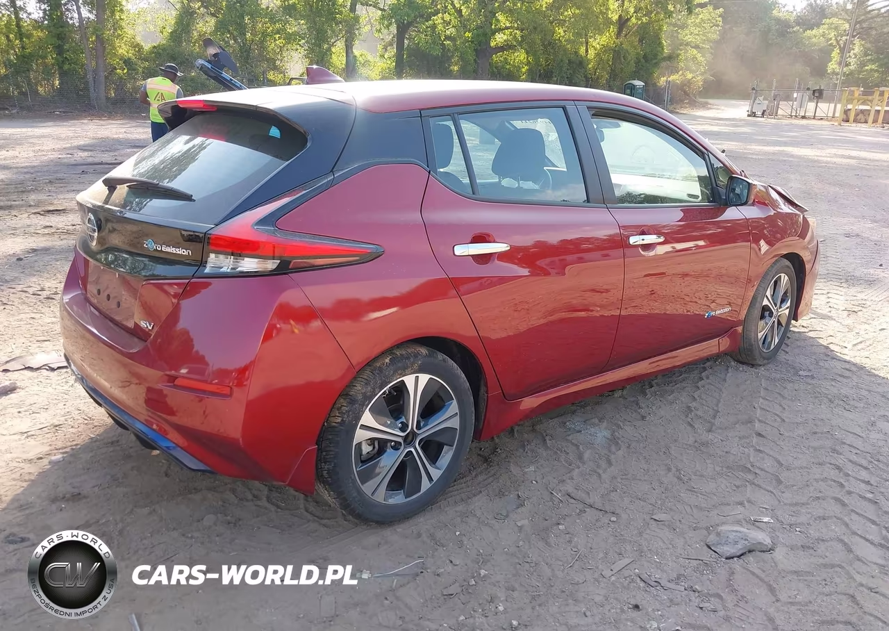 2019 Nissan Leaf Sv VIN:1N4AZ1CP3KC300650 - 4