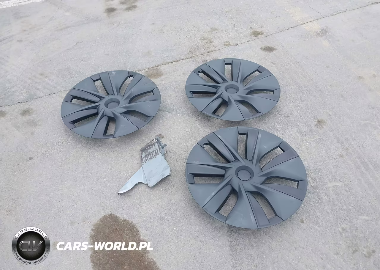 2024 Tesla Model Y Long Range Dual Motor All-Wheel Drive VIN:7SAYGDEE8RA310793 - 12