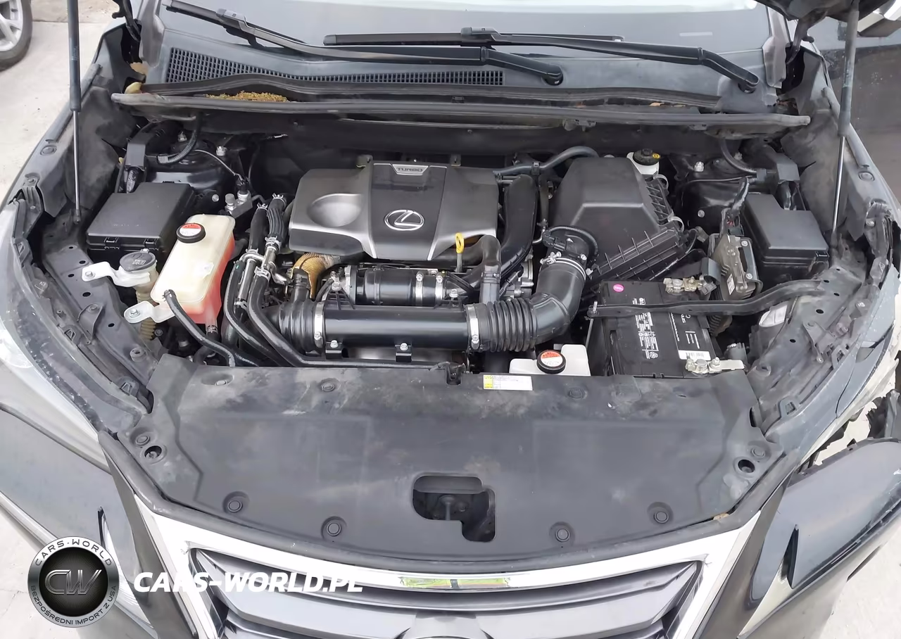 2016 Lexus Nx 200T VIN:JTJYARBZXG2036774 - 10