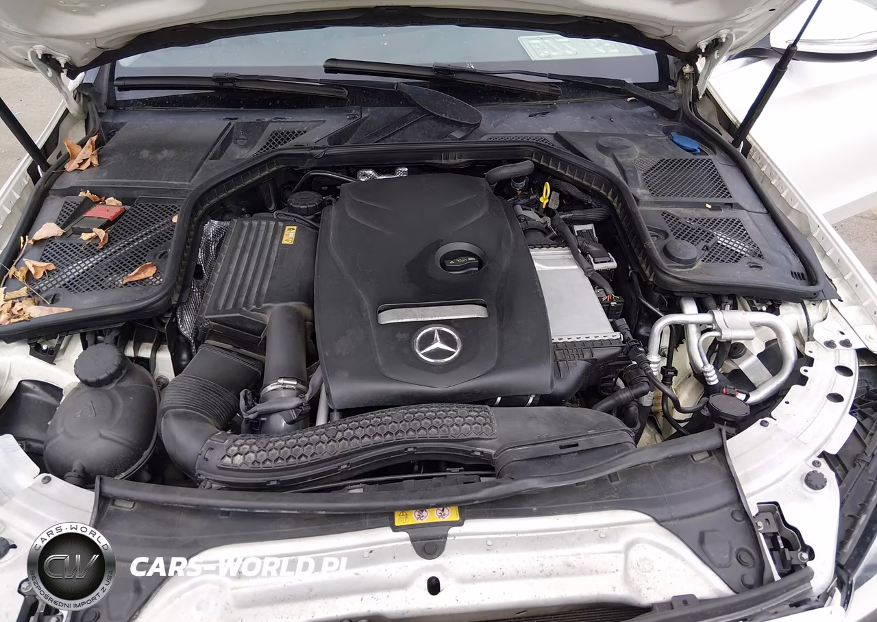 2015 Mercedes-Benz C 300 VIN:55SWF4JB1FU076691 - 10