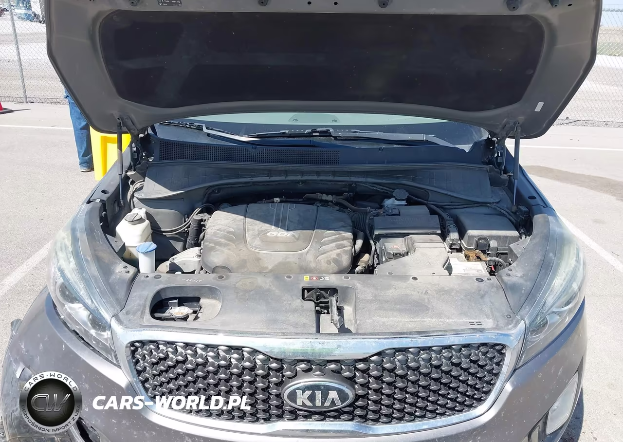 2017 Kia Sorento 3.3L Sx VIN:5XYPKDA5XHG274483 - 10