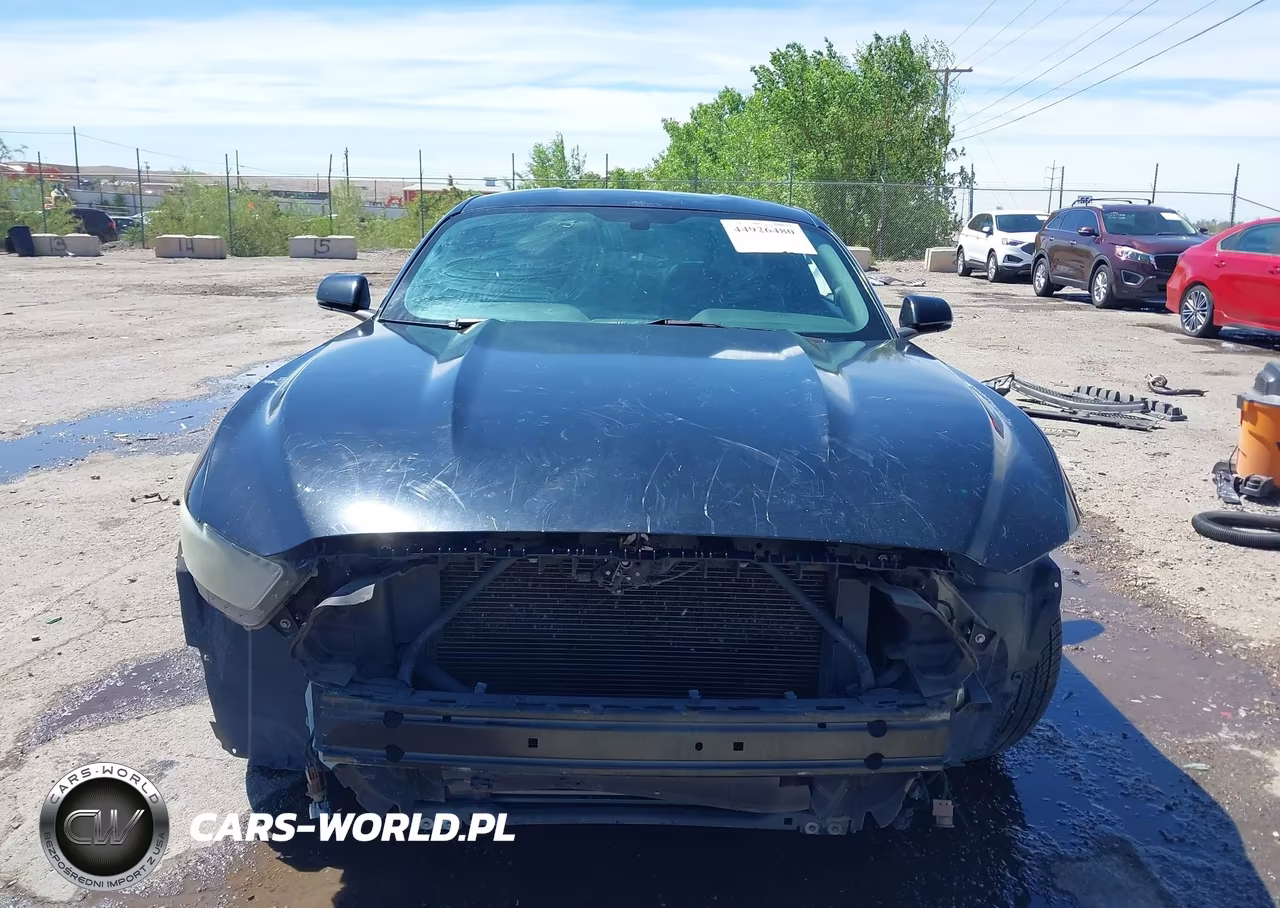 2015 Ford Mustang Ecoboost VIN:1FA6P8TH8F5305835 - 13