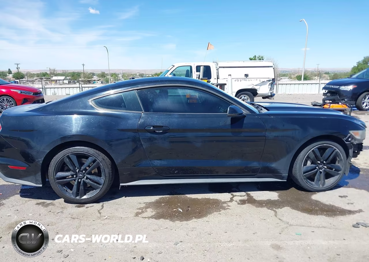 2015 Ford Mustang Ecoboost VIN:1FA6P8TH8F5305835 - 14