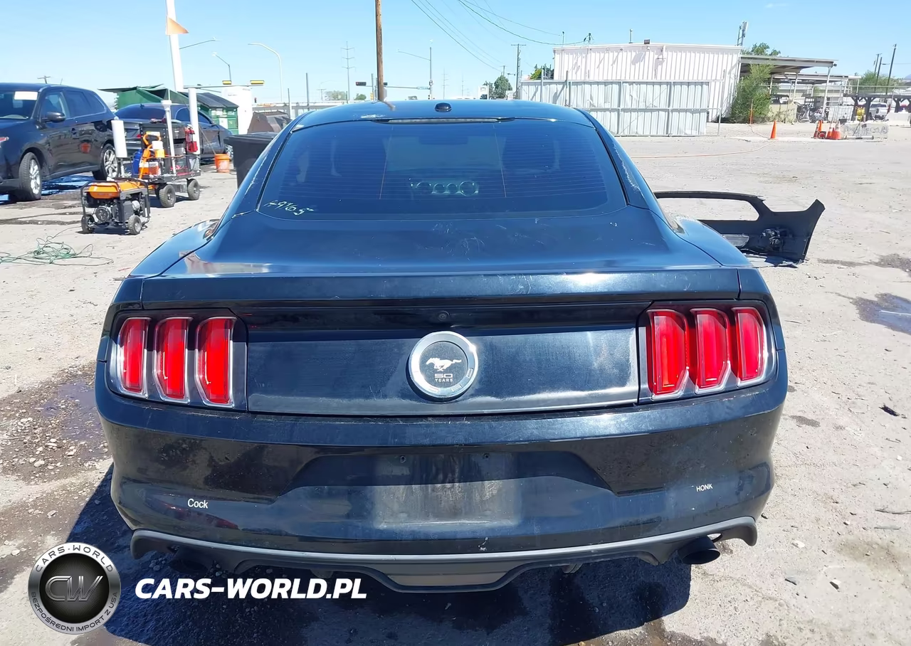 2015 Ford Mustang Ecoboost VIN:1FA6P8TH8F5305835 - 17