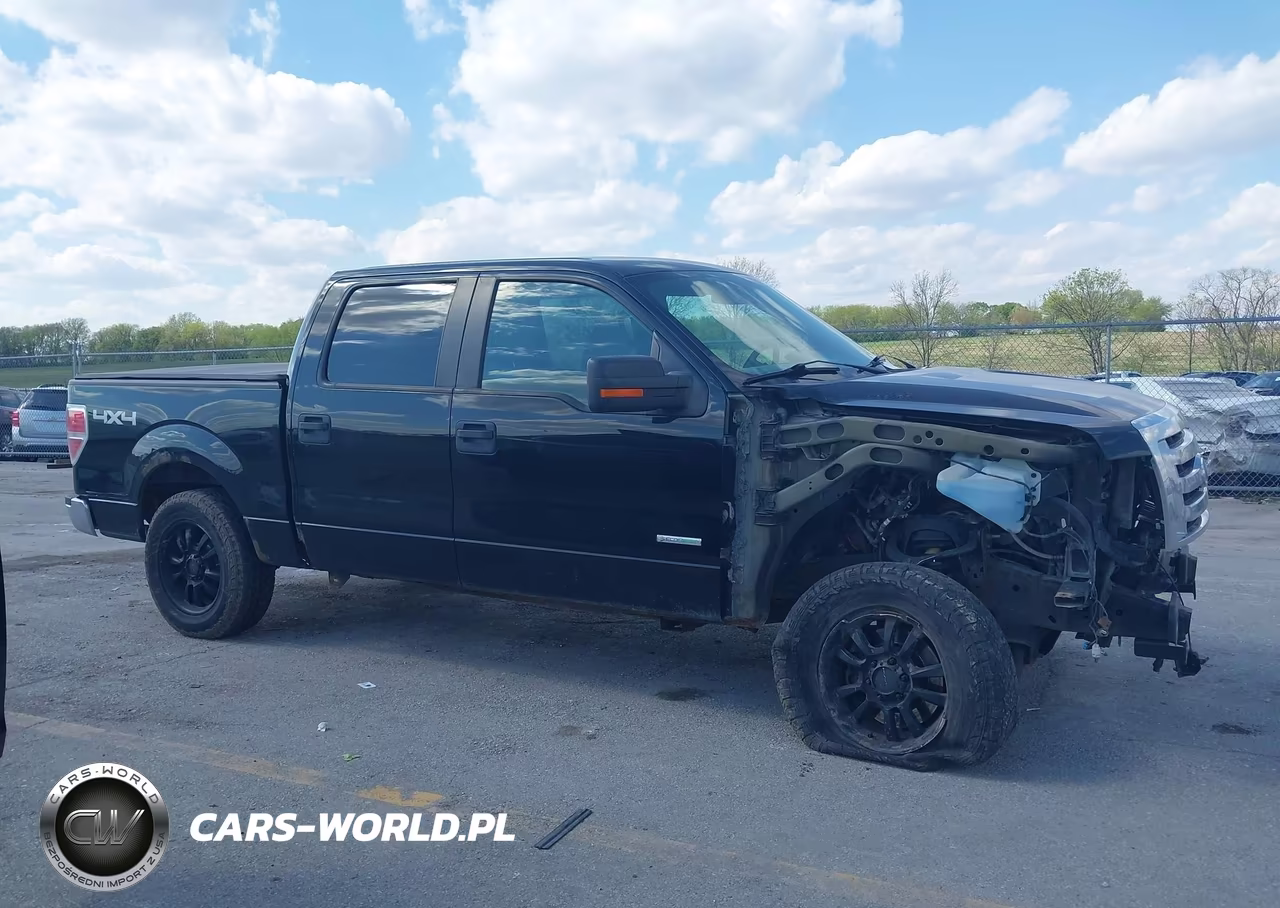 2011 Ford F-150 Xlt VIN:1FTFW1ET5BFC96005 - 13