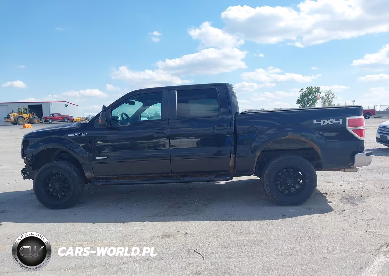 2011 Ford F-150 Xlt VIN:1FTFW1ET5BFC96005 - 14