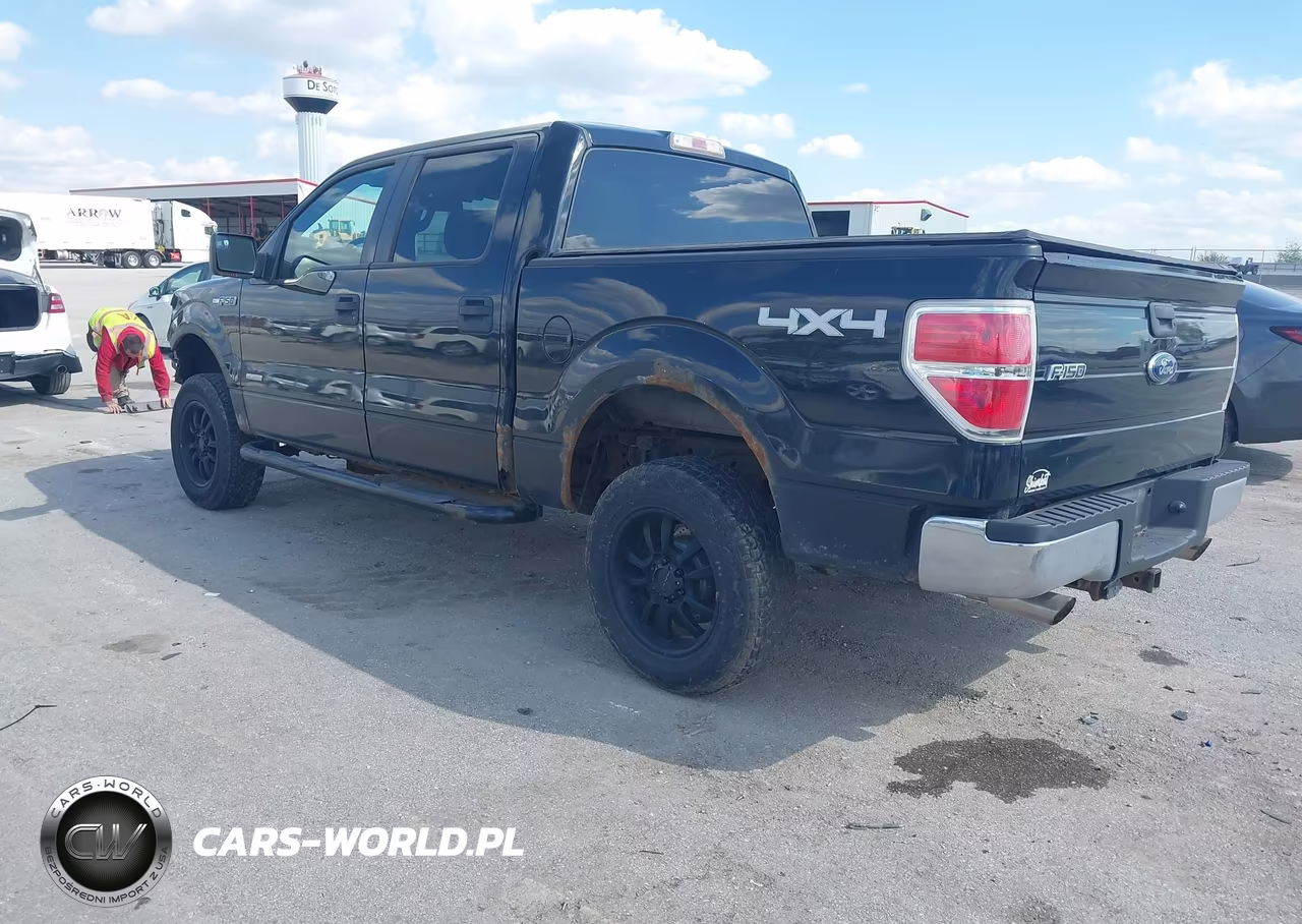 2011 Ford F-150 Xlt VIN:1FTFW1ET5BFC96005 - 3