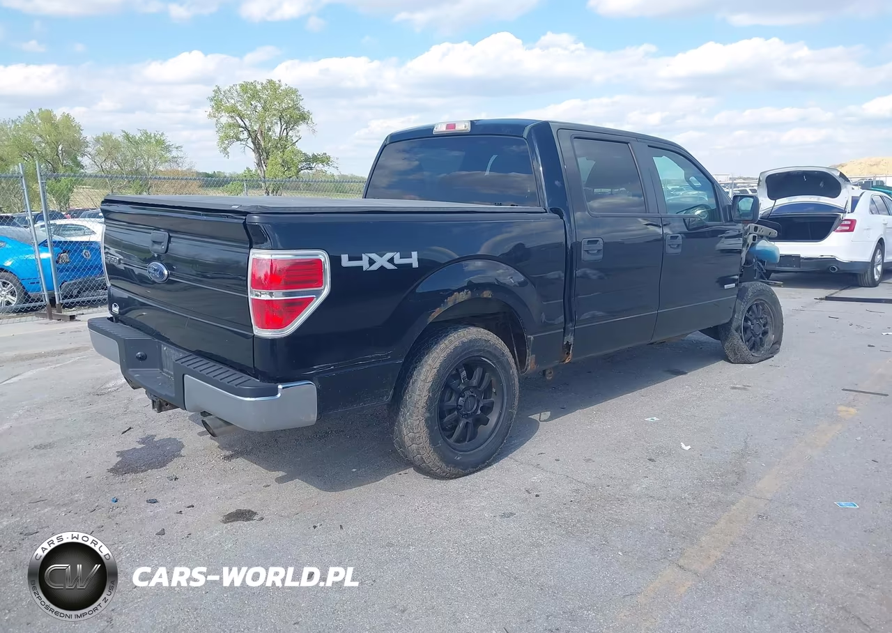 2011 Ford F-150 Xlt VIN:1FTFW1ET5BFC96005 - 4