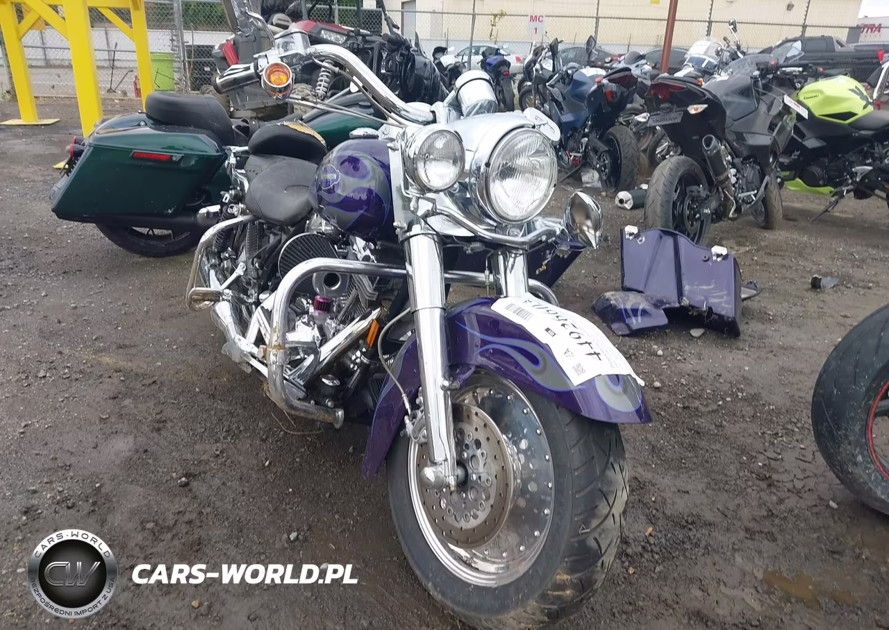 2002 Harley-Davidson Flhrsei