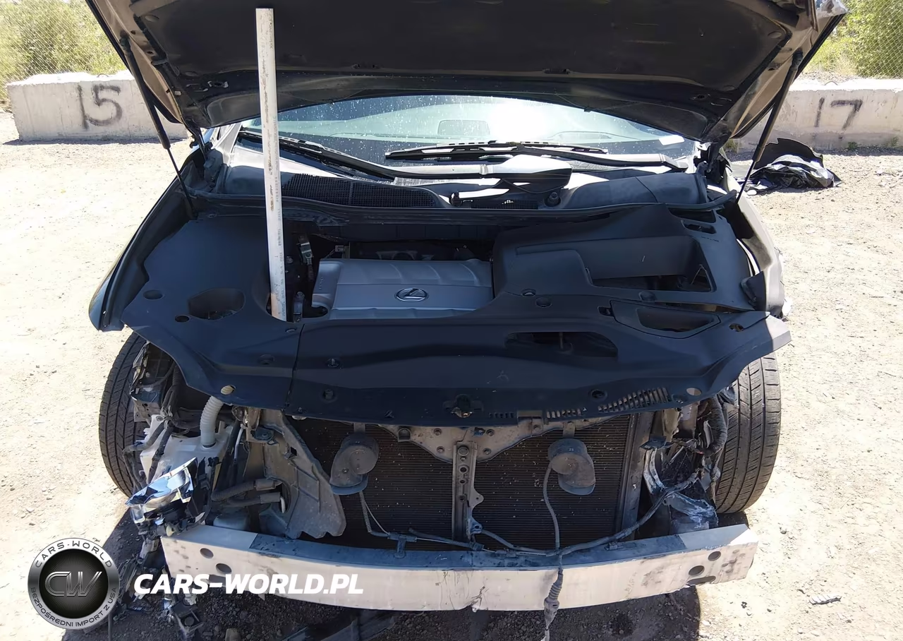 2010 Lexus Rx 350 VIN:JTJZK1BA3A2408024 - 10