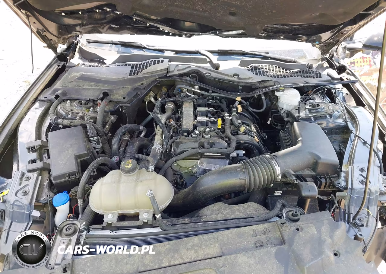2023 Ford Mustang Ecoboost Fastback VIN:1FA6P8TH6P5100936 - 10