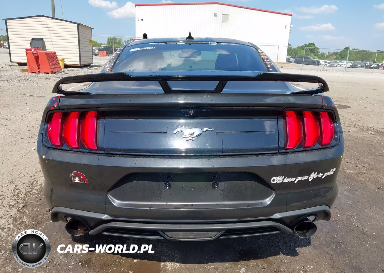 2023 Ford Mustang Ecoboost Fastback VIN:1FA6P8TH6P5100936 - 17
