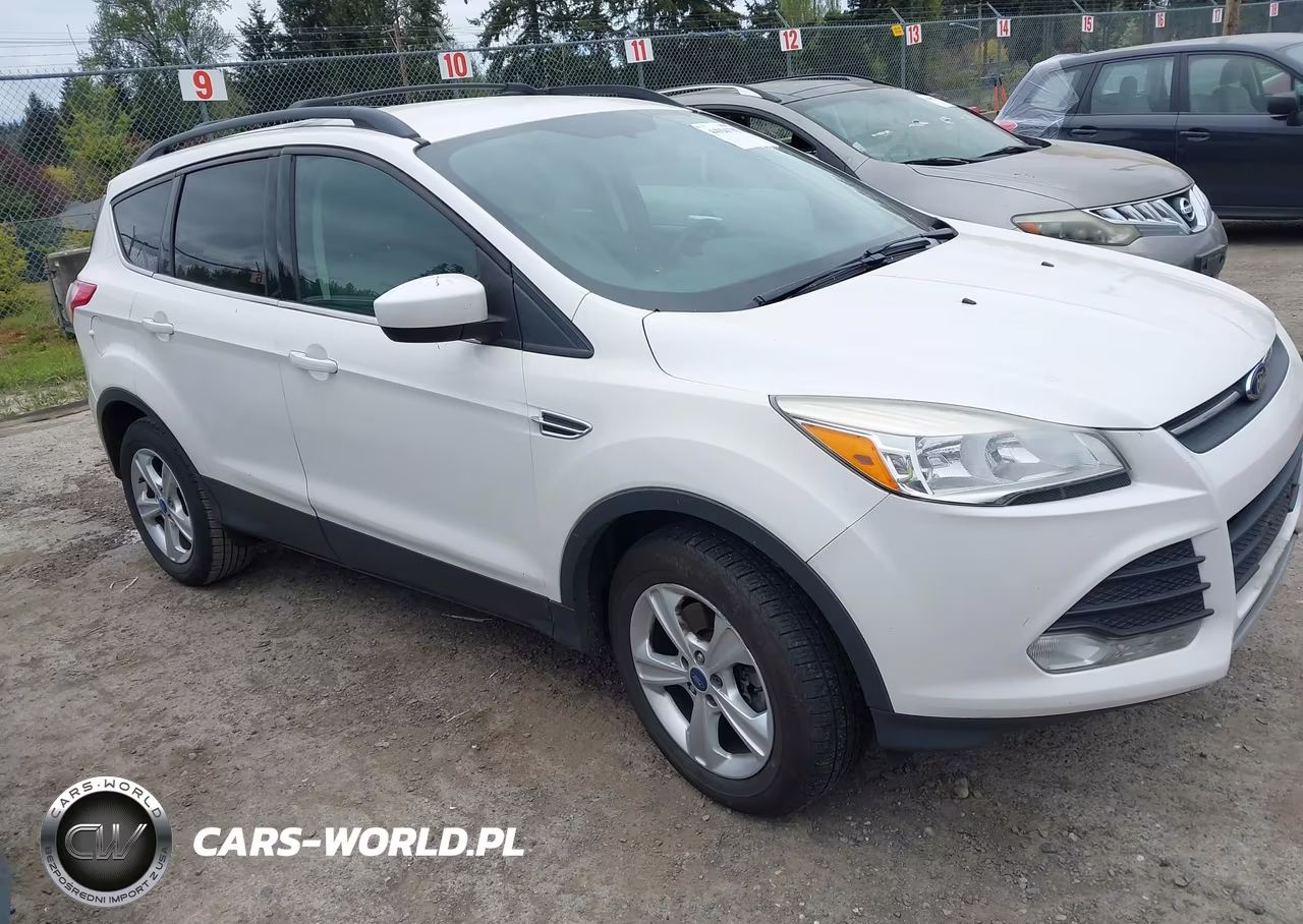 2013 Ford Escape Se