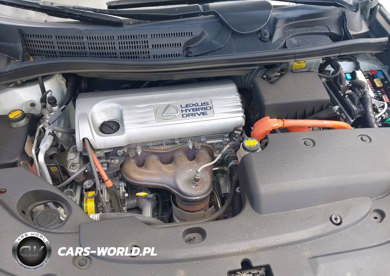2010 Lexus Hs 250H Premium VIN:JTHBB1BA6A2037220 - 10