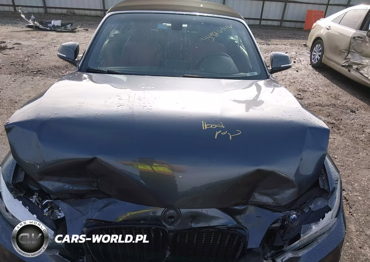 2016 BMW 228I xDrive VIN:WBA1L9C5XGV324932 - 10